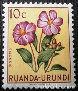 Selos: 1953 RUANDA-URUNDI. Flor indígena (Dissotis, Protea y Vellozia)